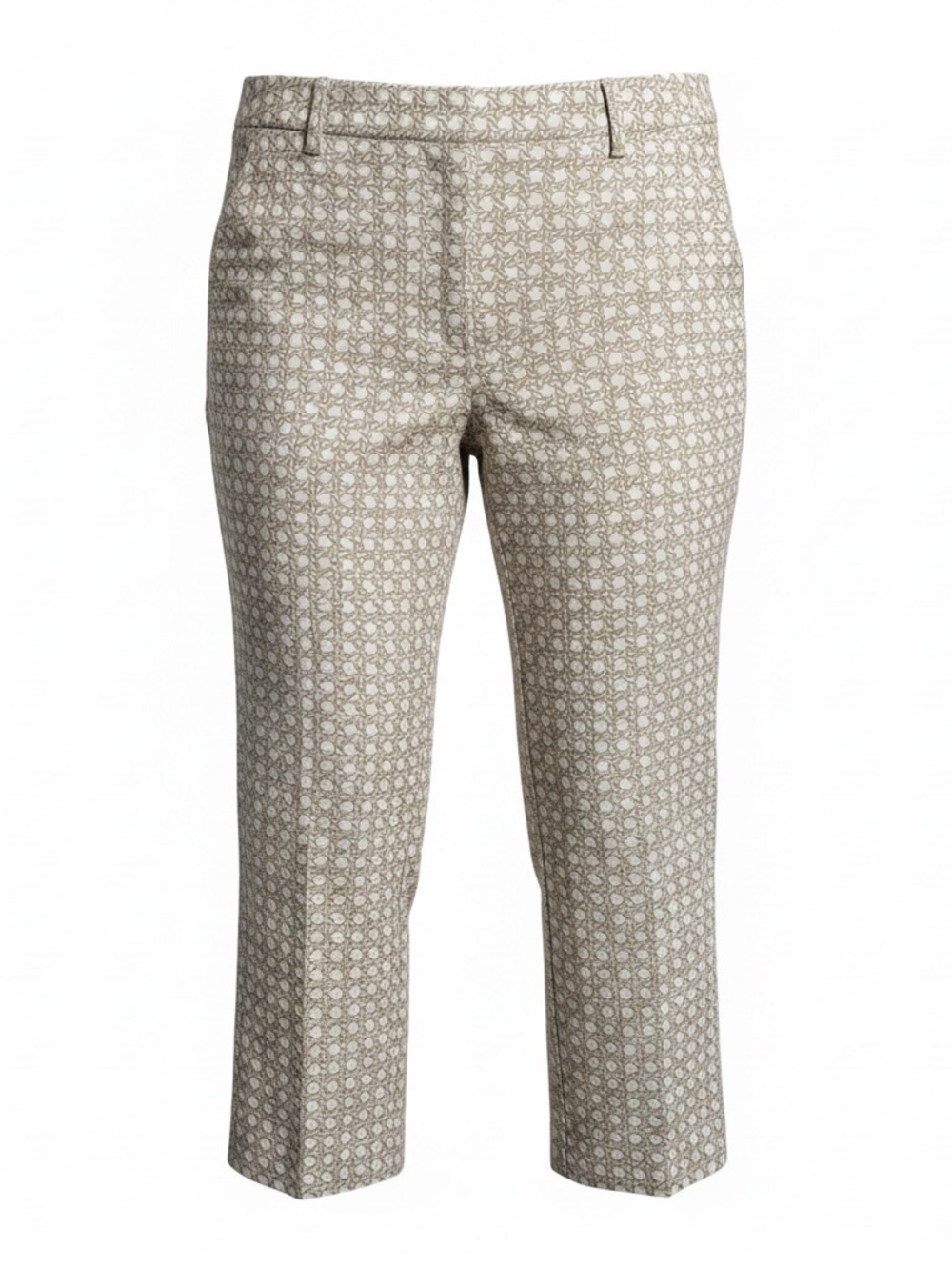 NWT Ann Taylor Beige Printed Cropped Chinos 14